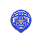Motor City Grizzlies Basketball Club